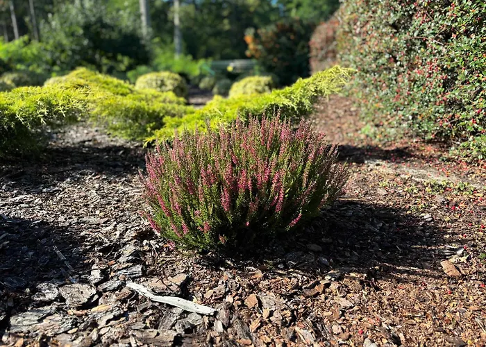 Jaski Trzcianka (Czarnkow-Trzcianka)